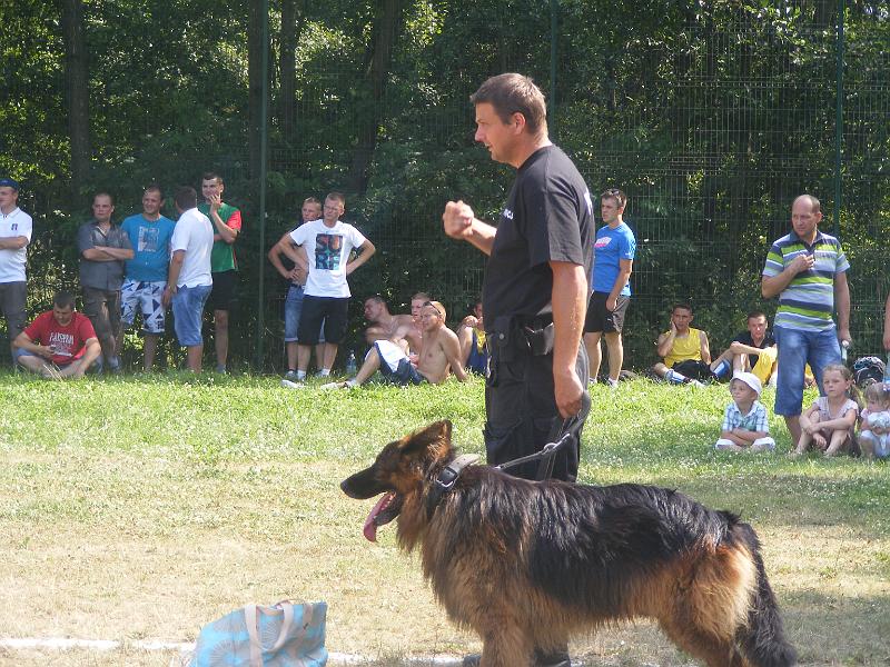 01.07.12r. FESTYN 113